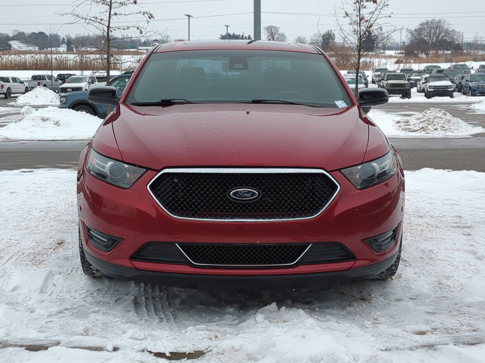 Used 2014 Ford Taurus SHO w/ Equipment Group 401A image 12