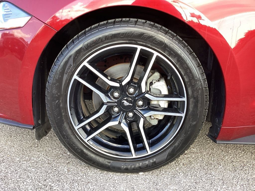 Used 2019 Ford Mustang Premium w/ Enhanced Security Package image 15