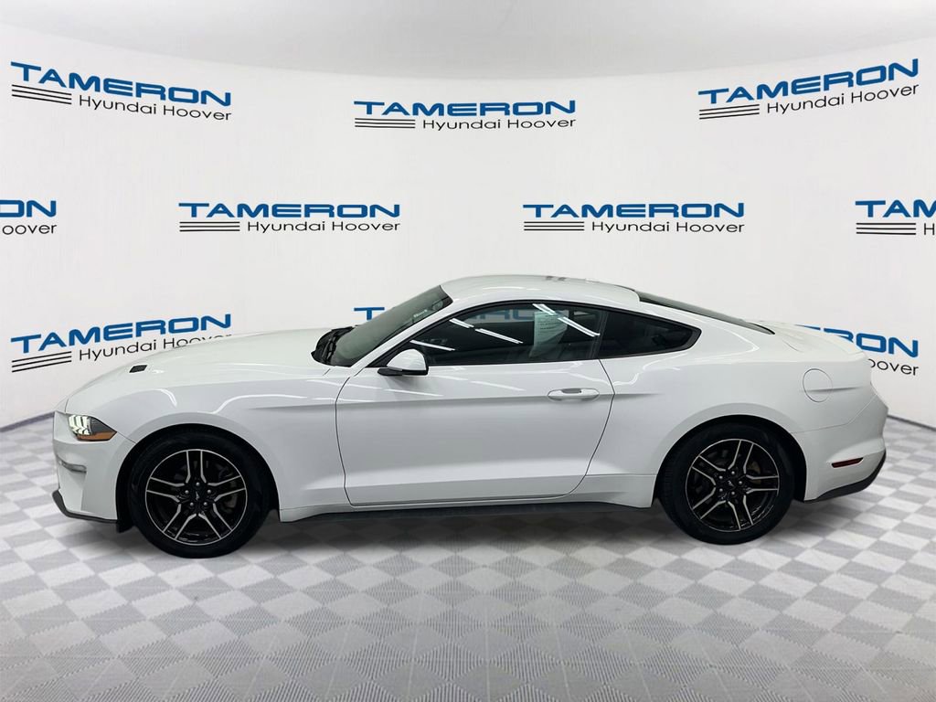 Used 2019 Ford Mustang Premium RWD image 2