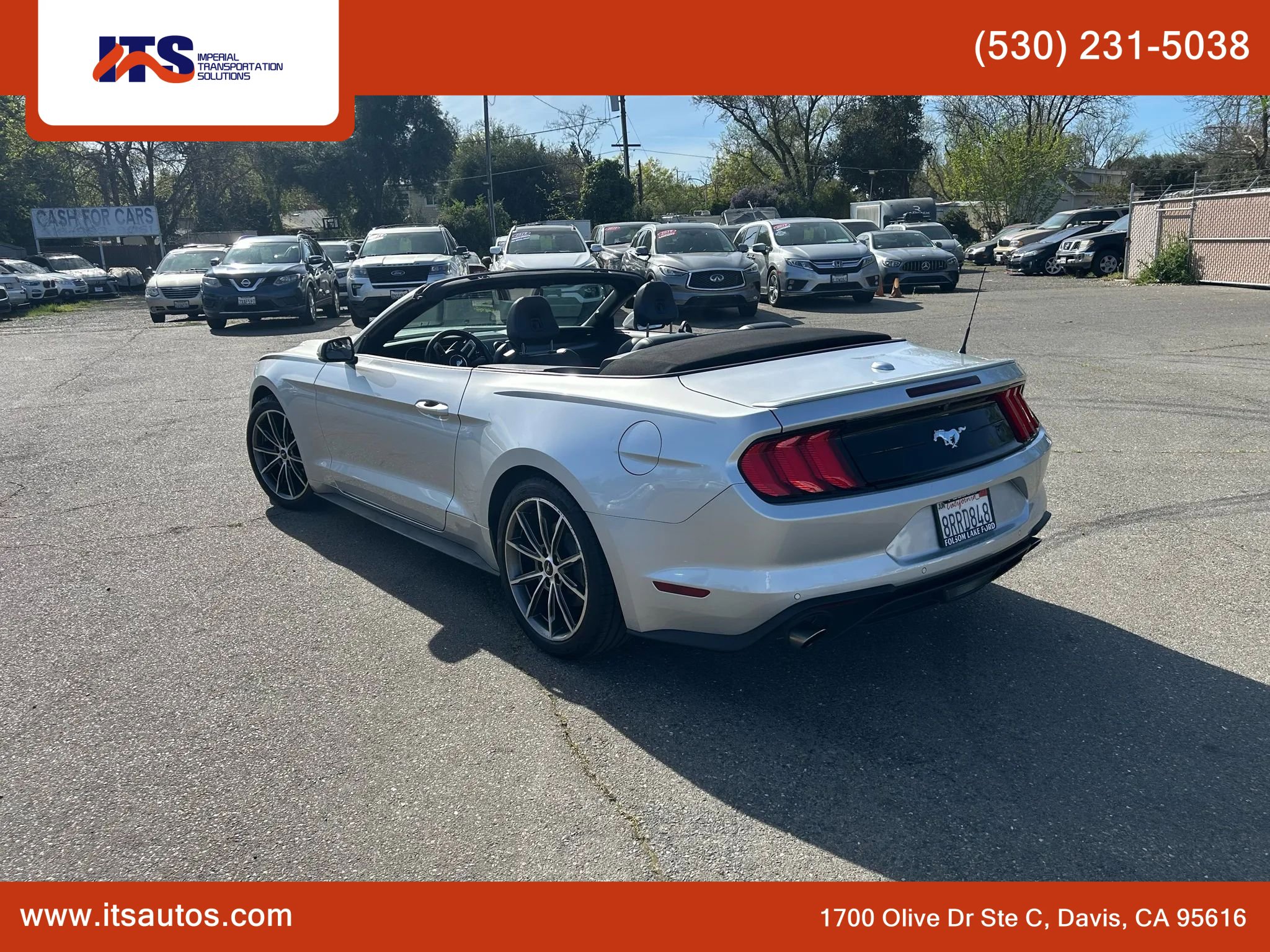 Used 2019 Ford Mustang Premium w/ Equipment Group 201A image 6