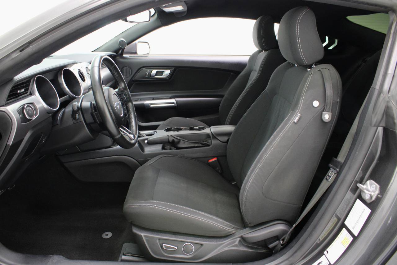 Used 2019 Ford Mustang GT w/ Equipment Group 301A RWD image 31