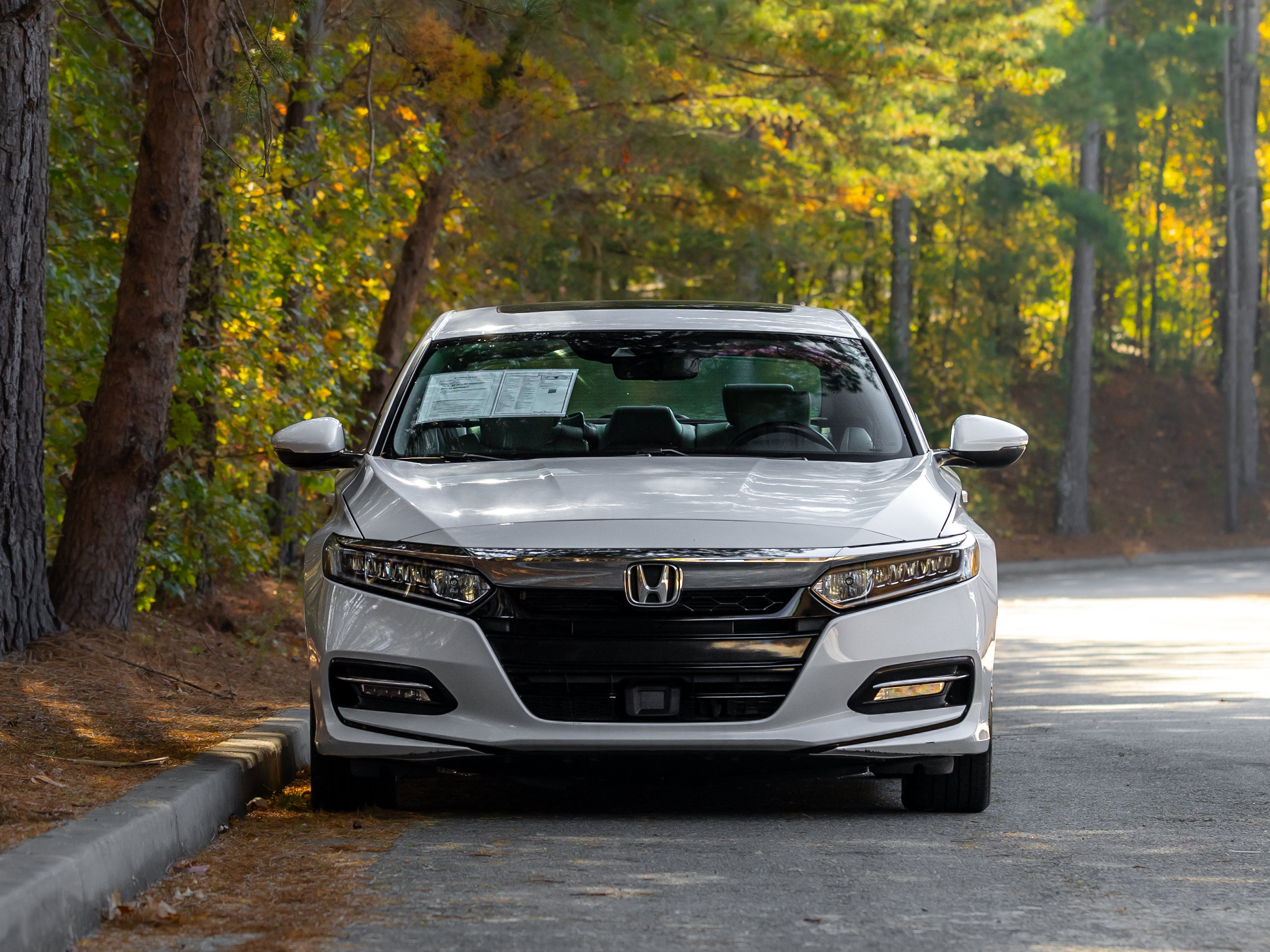 Used 2019 Honda Accord EX-L image 35
