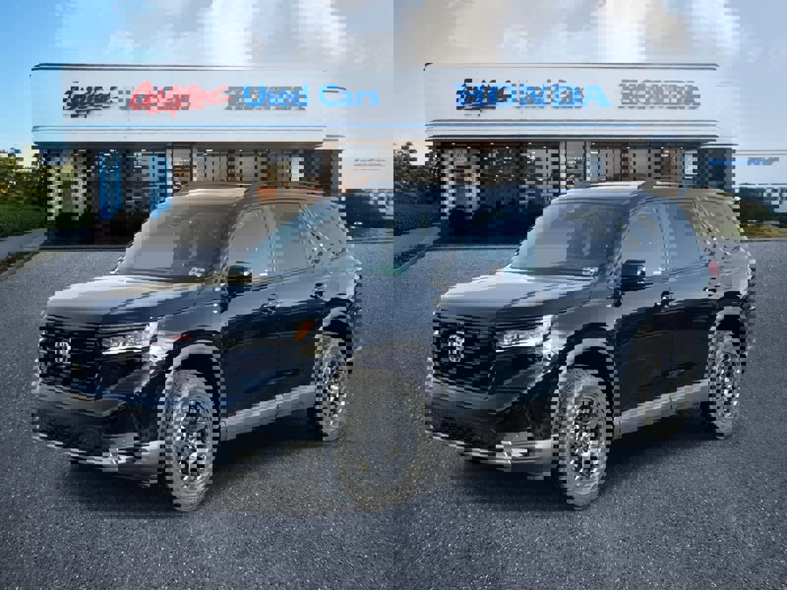 Used 2025 Honda Pilot TrailSport image 1