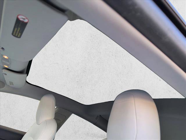 Used 2019 Tesla Model 3 Standard Range Plus image 16