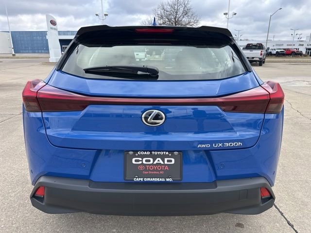 Used 2025 Lexus UX 300h AWD w/ Cold Area Package image 4