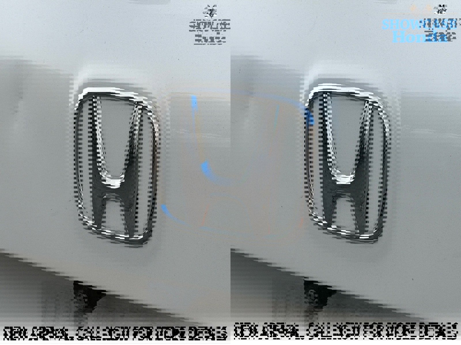 Used 2019 Honda Pilot Elite image 9