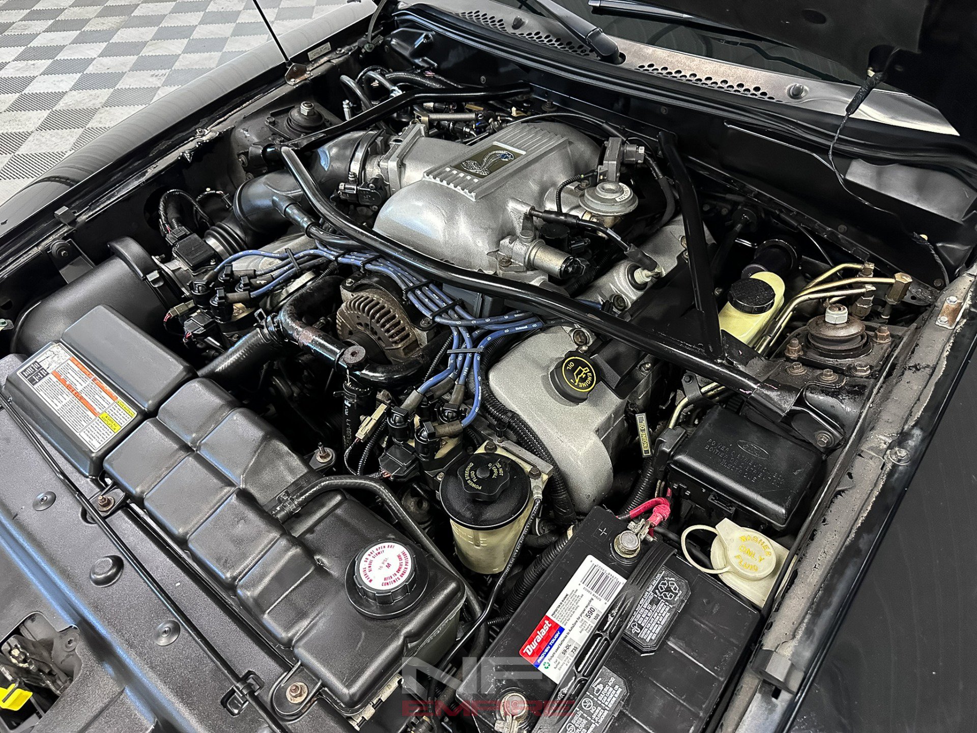 Used 1996 Ford Mustang Cobra RWD image 41