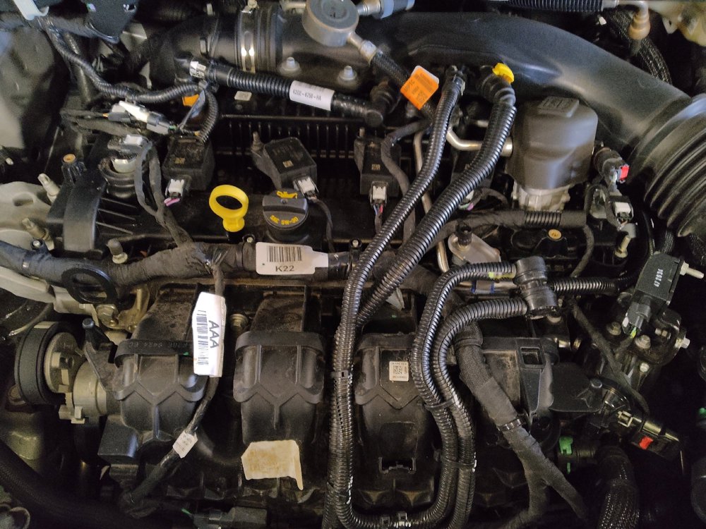 Used 2024 Ford Edge SEL image 30