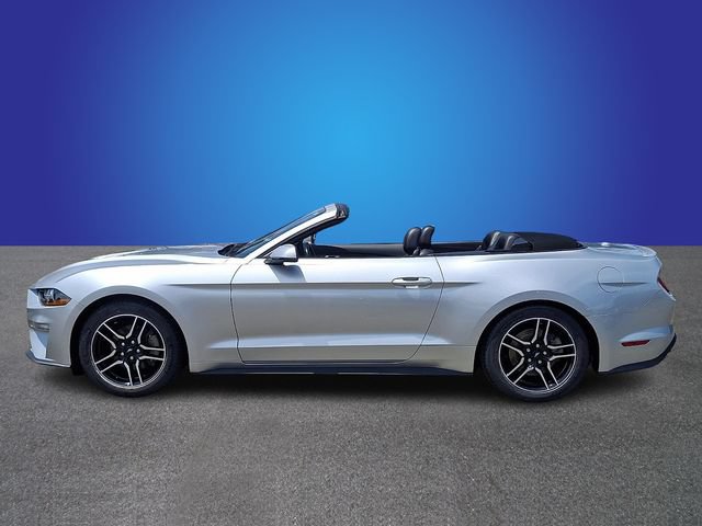 Used 2019 Ford Mustang Premium RWD image 7