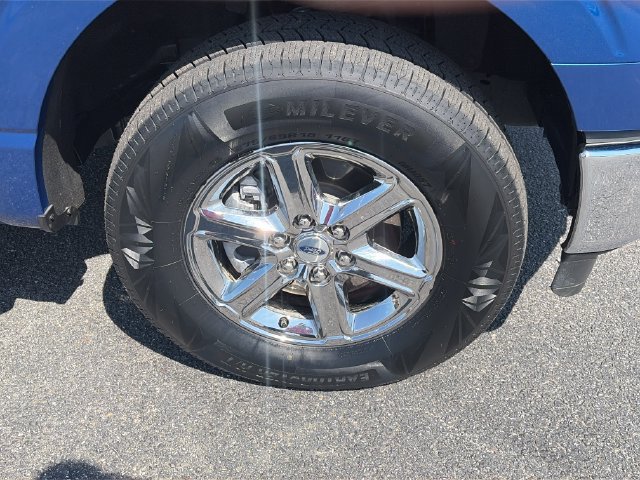 Used 2025 Ford F150 XLT w/ Equipment Group 301A Standard AWD/4WD image 12