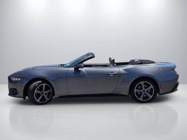 Used 2024 Ford Mustang Premium RWD image 7