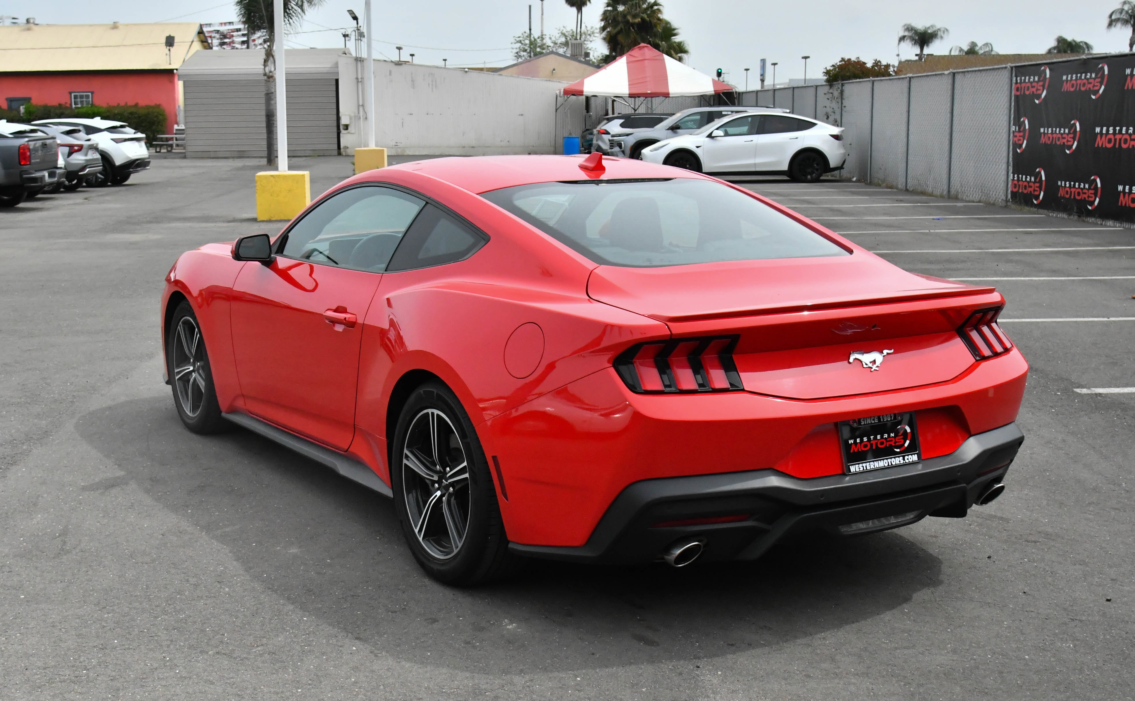 Used 2024 Ford Mustang Premium RWD image 6