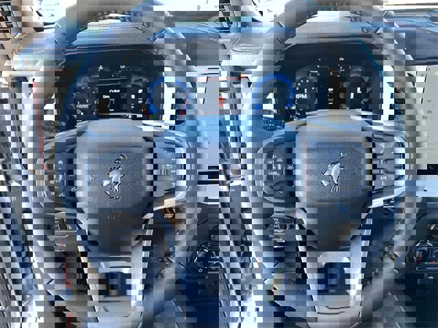 New 2025 Ford Bronco Stroppe Edition image 28