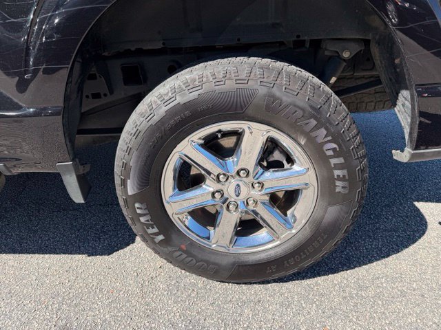 Used 2025 Ford F150 XLT w/ Equipment Group 301A Standard AWD/4WD image 6