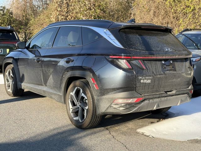 Used 2024 Hyundai Tucson Limited image 6