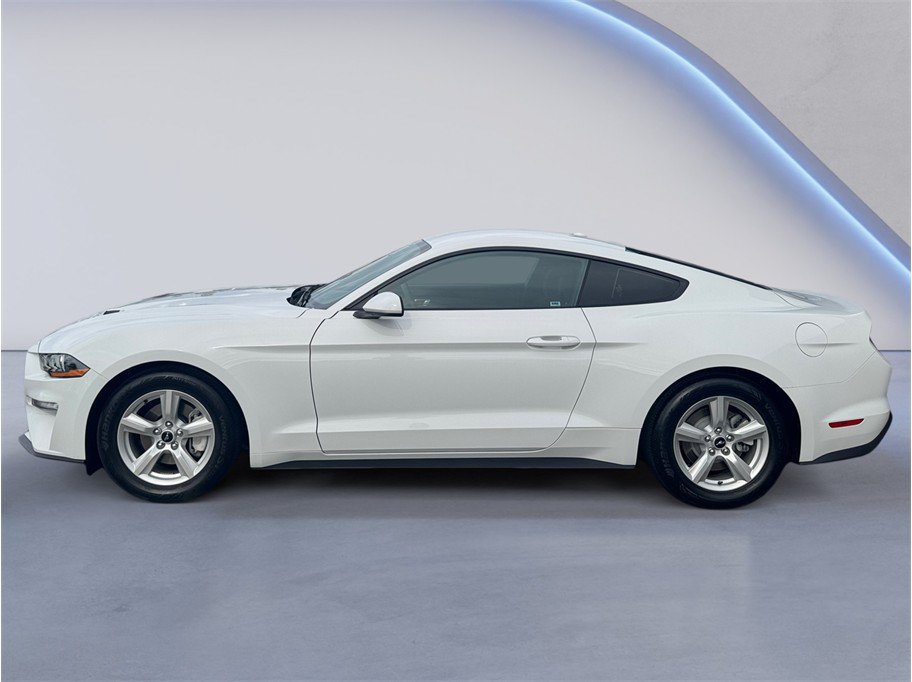 Used 2019 Ford Mustang Coupe RWD image 3