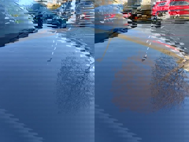 Used 2020 Honda Civic LX image 12