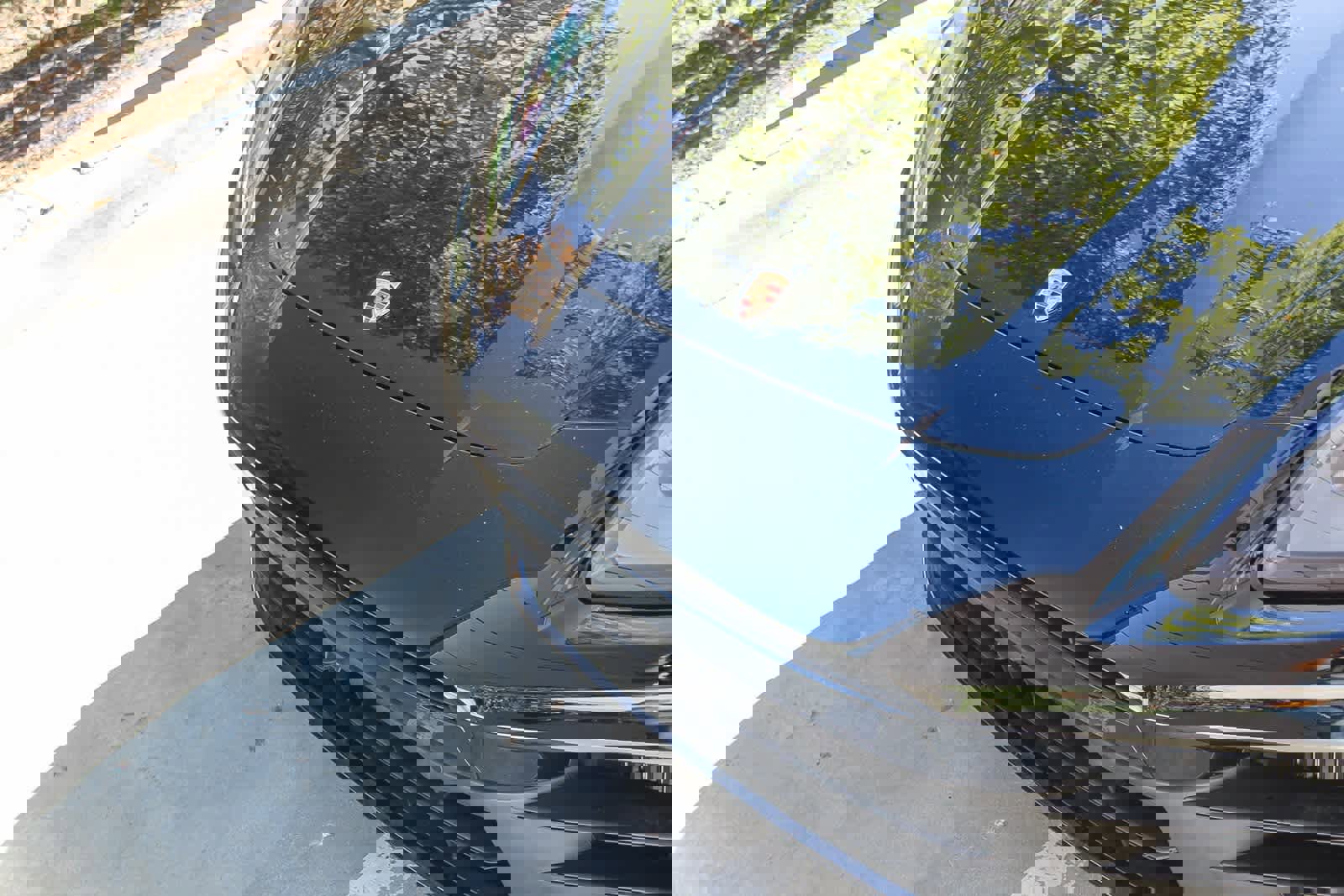 Used 2025 Porsche Panamera 4 image 11