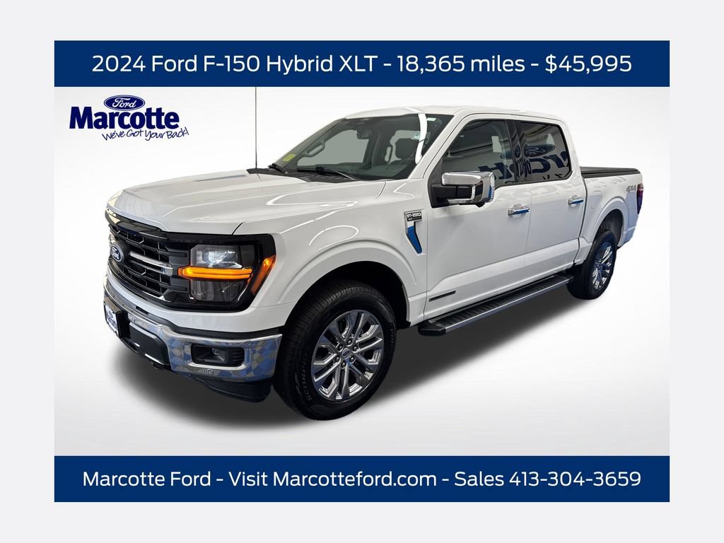 Certified 2024 Ford F150 XLT w/ Equipment Group 302A MID AWD/4WD image 1