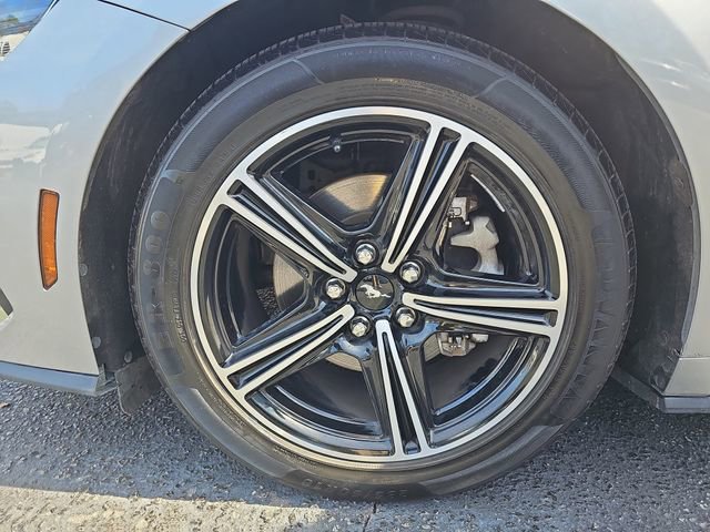 Used 2024 Ford Mustang Premium image 33