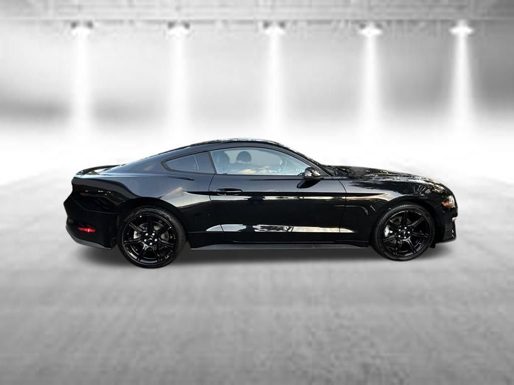 Certified 2019 Ford Mustang Premium w/ Equipment Group 201A RWD video 3