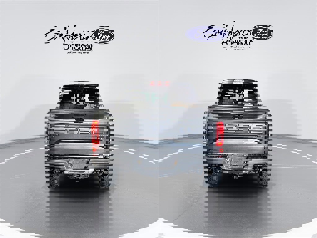 Used 2019 Ford F150 Raptor w/ Equipment Group 802A Luxury image 7