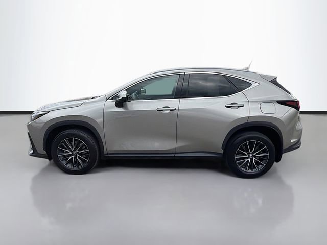 Used 2024 Lexus NX 350 AWD image 4