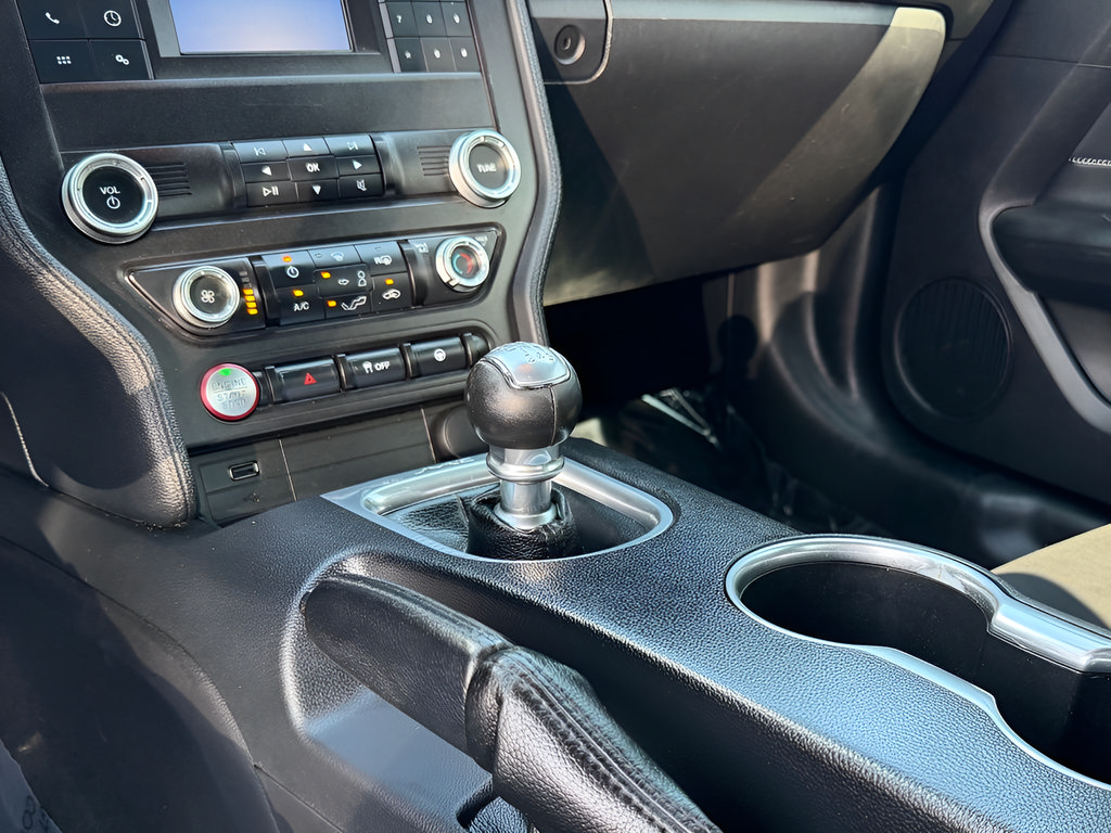 Used 2019 Ford Mustang Coupe RWD image 45