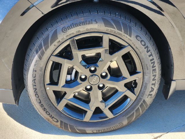 Certified 2026 Kia Carnival SX w/ SX Dark Edition Package FWD image 12