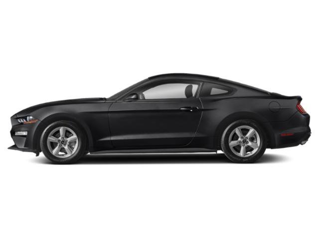 Used 2020 Ford Mustang EcoBoost image 3