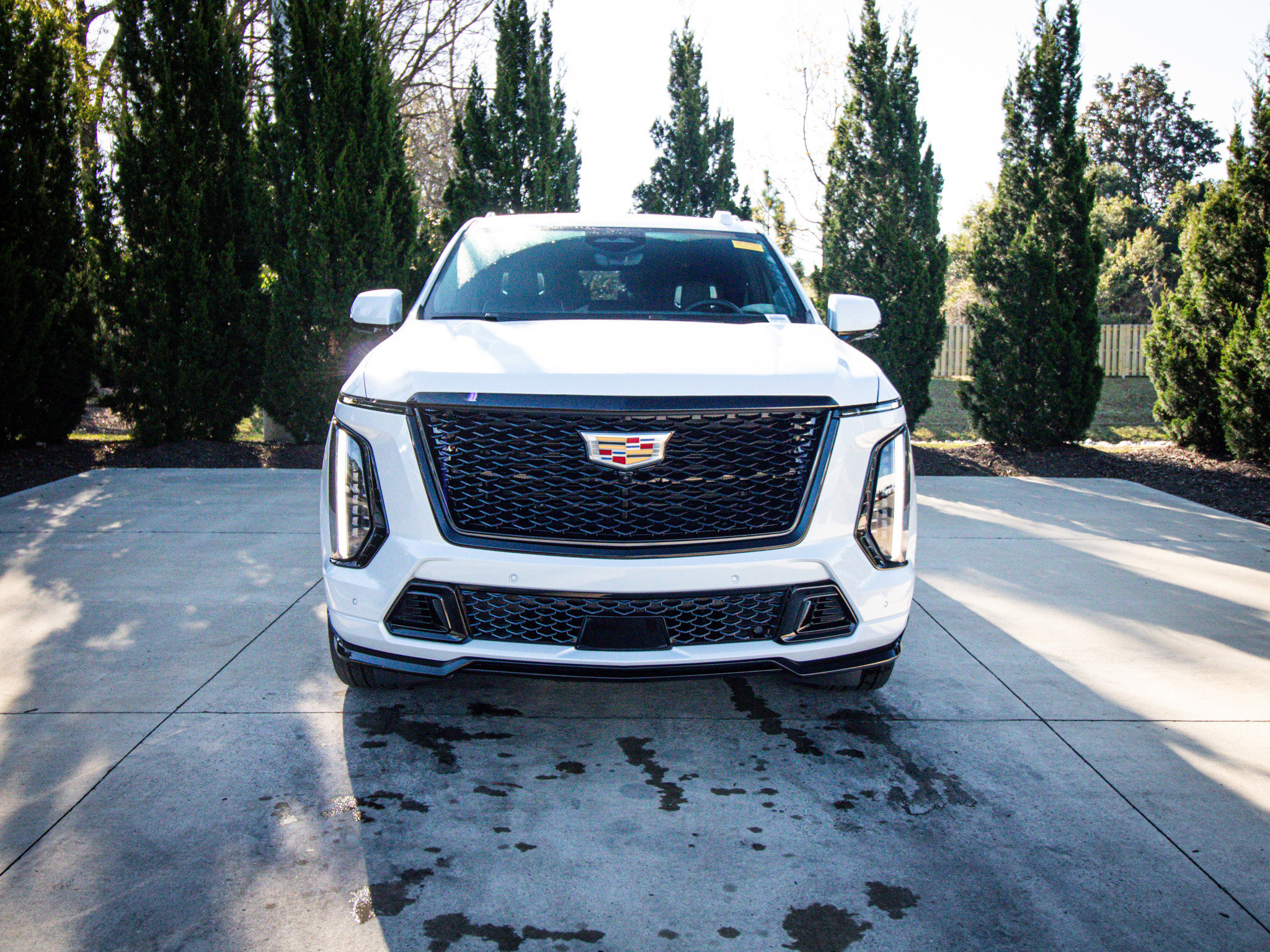 Used 2026 Cadillac Escalade V image 3