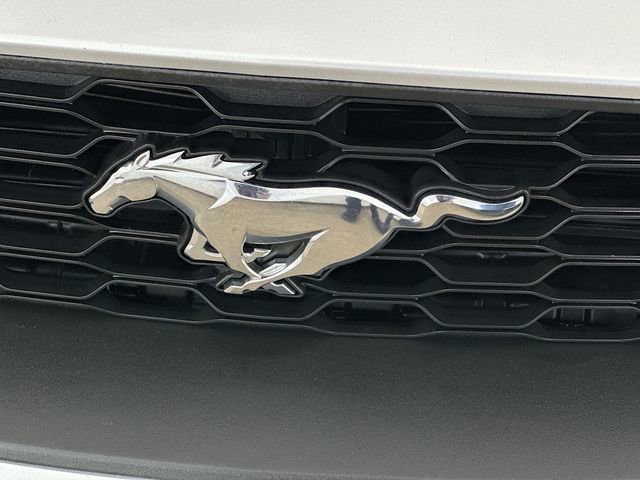 Used 2019 Ford Mustang Premium image 22