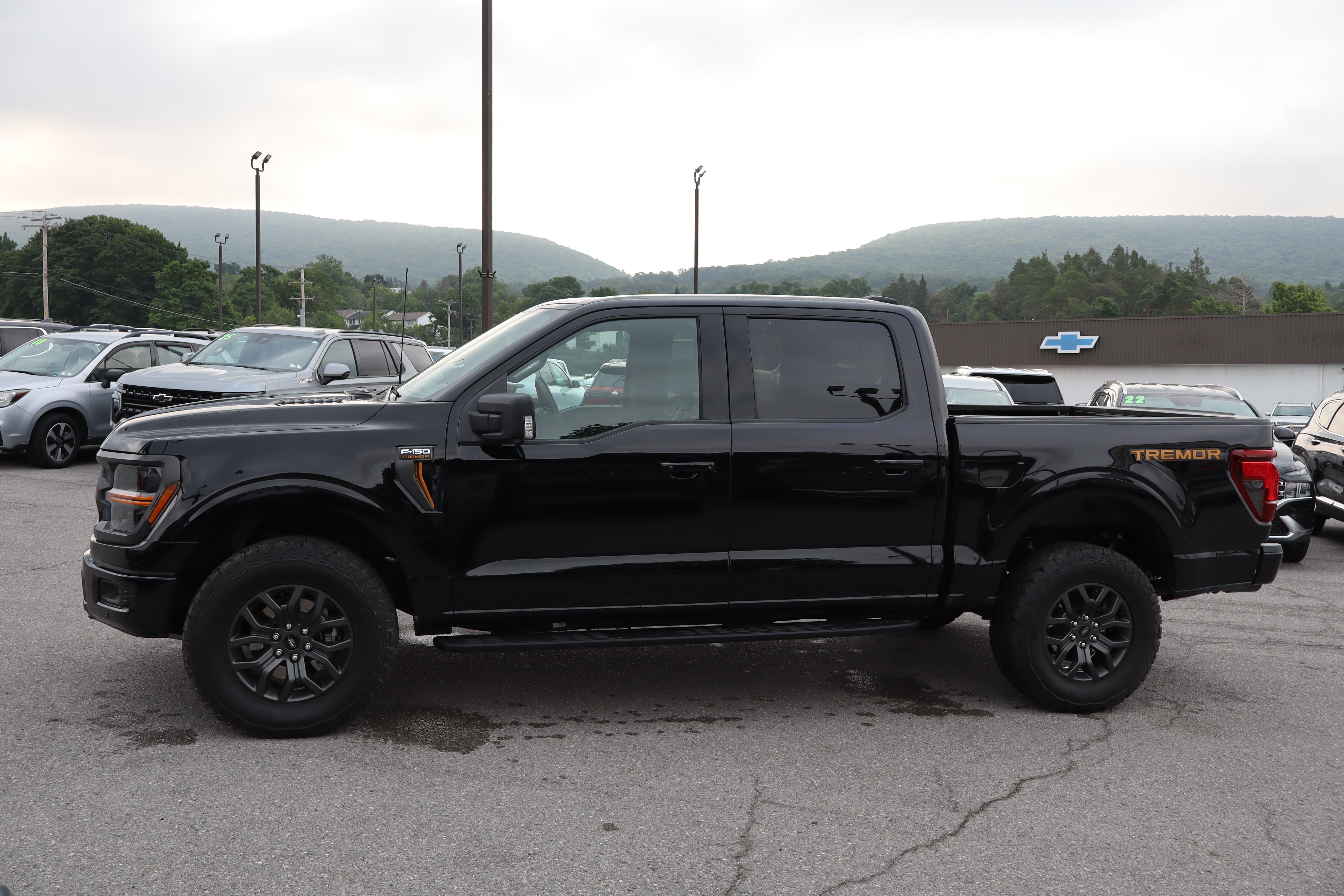 Used 2025 Ford F150 Tremor AWD/4WD image 7