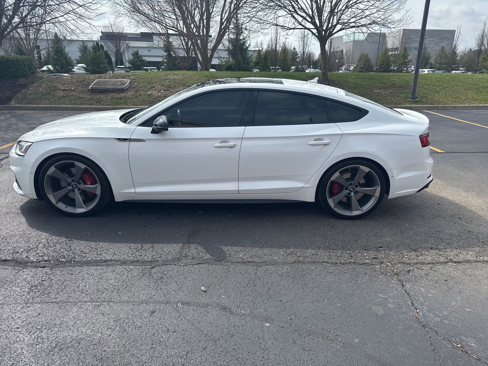 Used 2019 Audi S5 Prestige w/ S Sport Package image 8