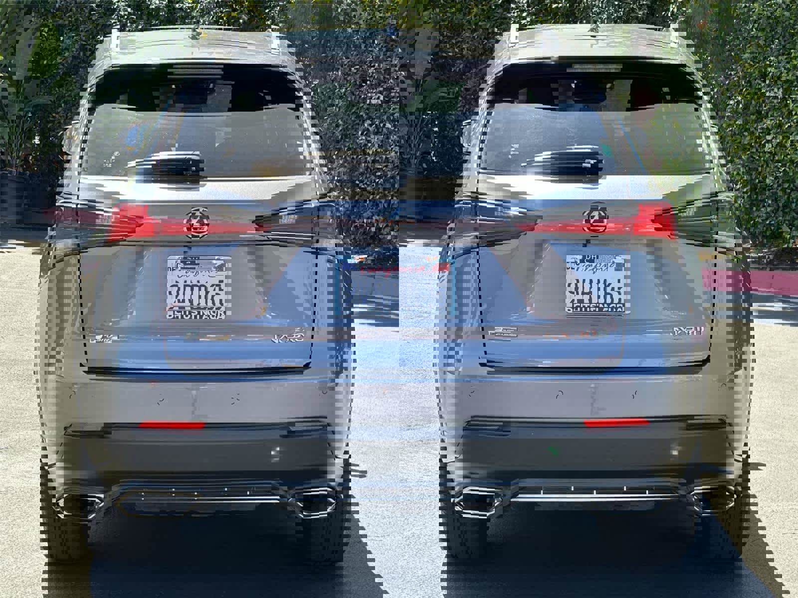 Used 2019 Lexus NX 300 F Sport w/ F Sport Comfort Package image 5