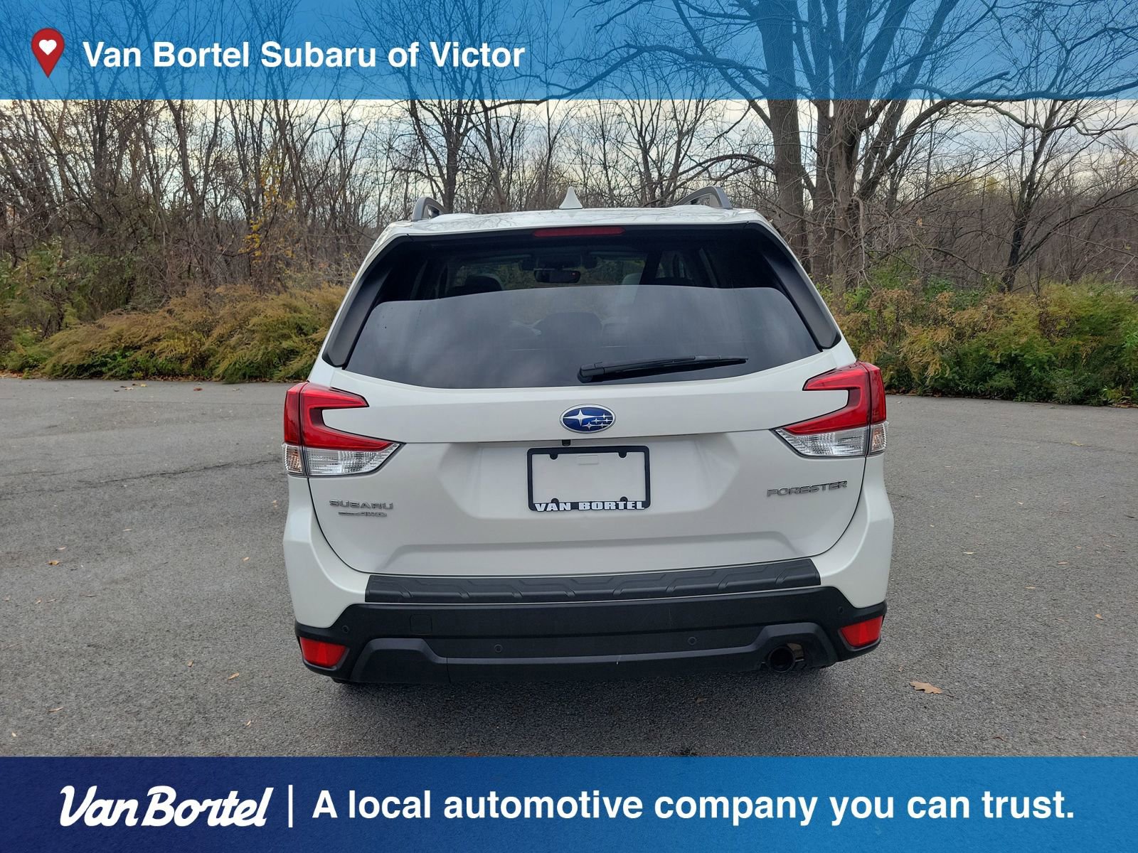 Used 2020 Subaru Forester Limited image 4