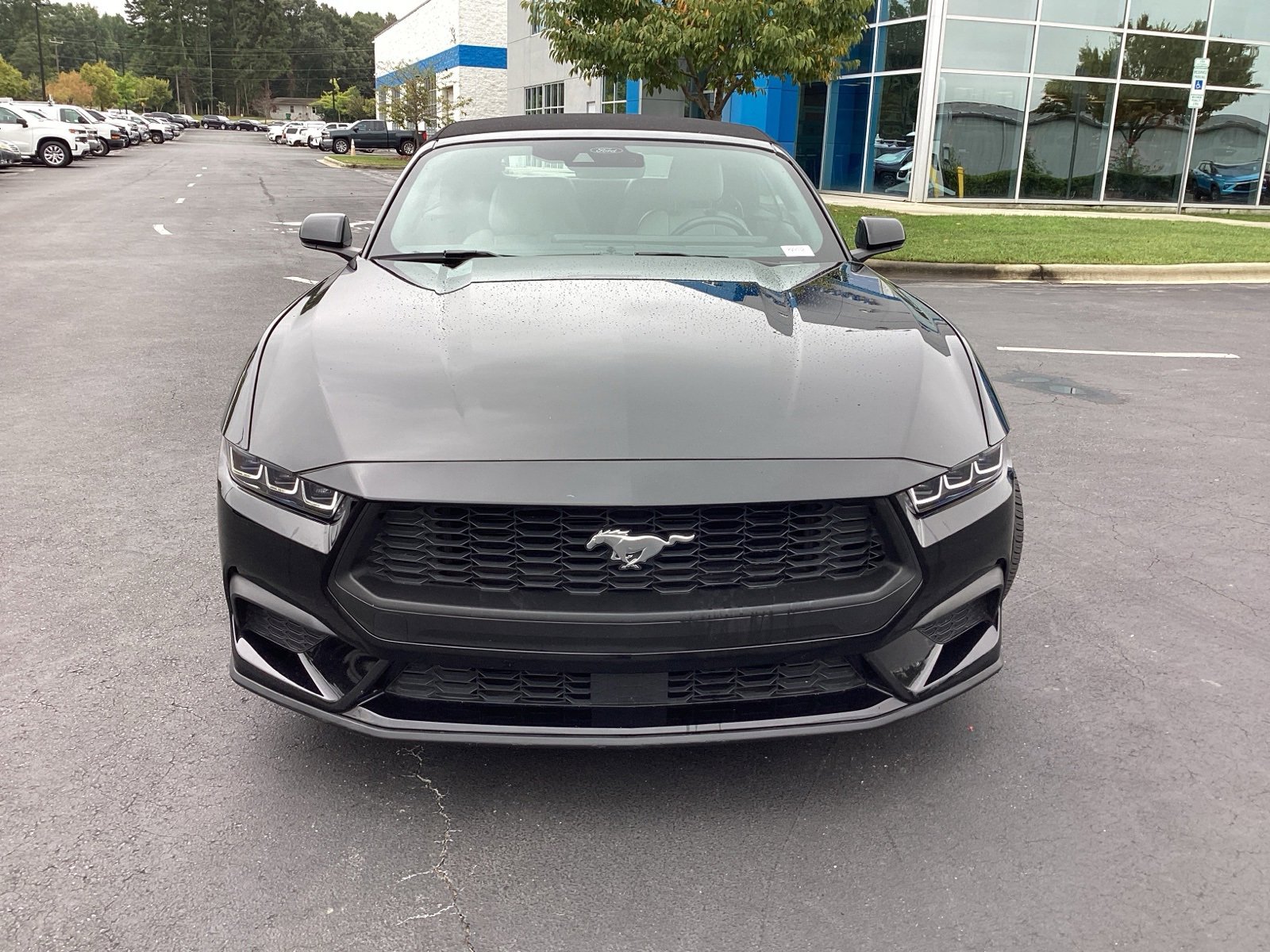 Used 2024 Ford Mustang Premium image 10