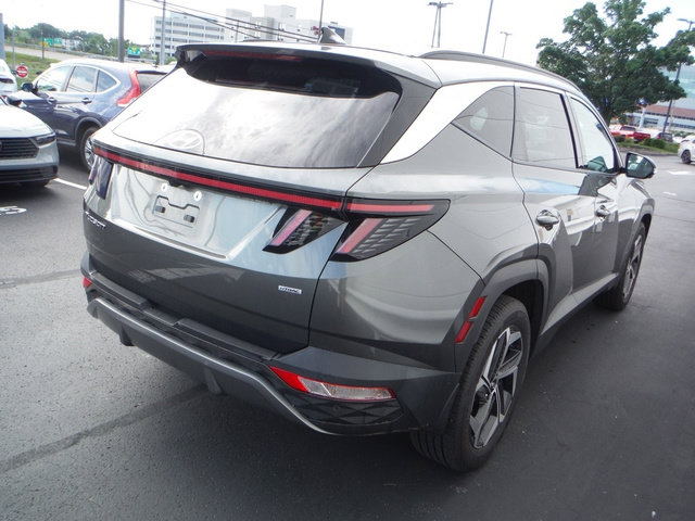 Used 2023 Hyundai Tucson Limited w/ Cargo Package AWD/4WD image 7