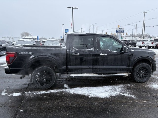 Used 2024 Ford F150 STX w/ STX Black Appearance Package image 8