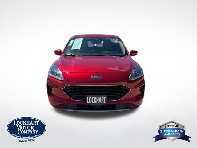 Used 2020 Ford Escape SE image 2