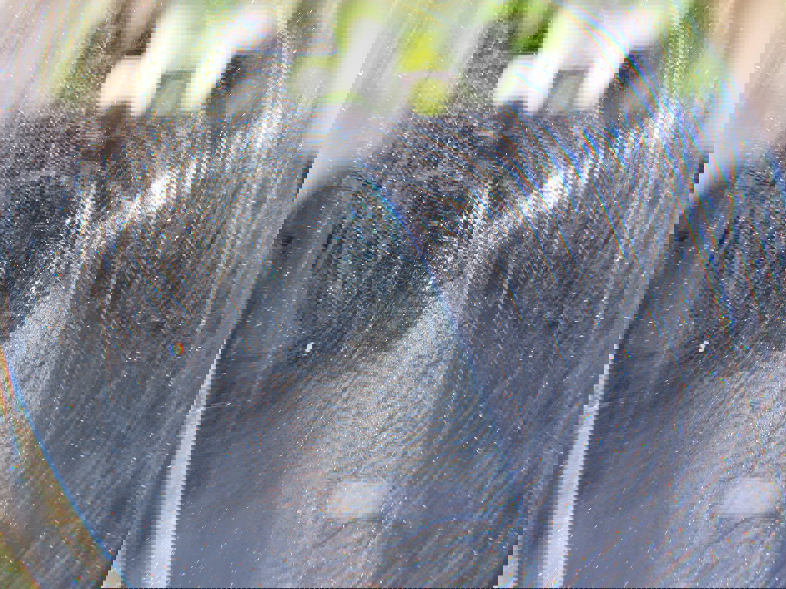 Used 2023 Nissan Rogue S image 9