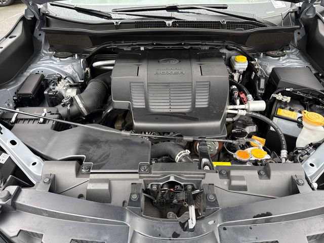 Used 2022 Subaru Forester Wilderness w/ Wilderness Package image 31