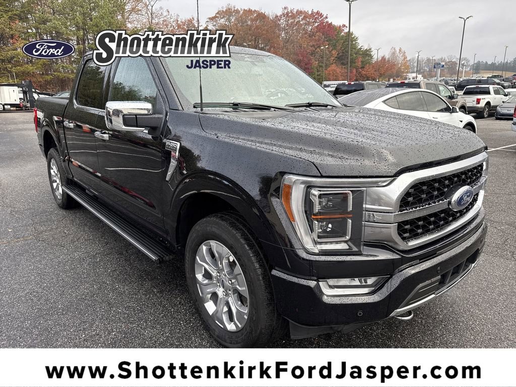 Used 2023 Ford F150 Platinum image 1