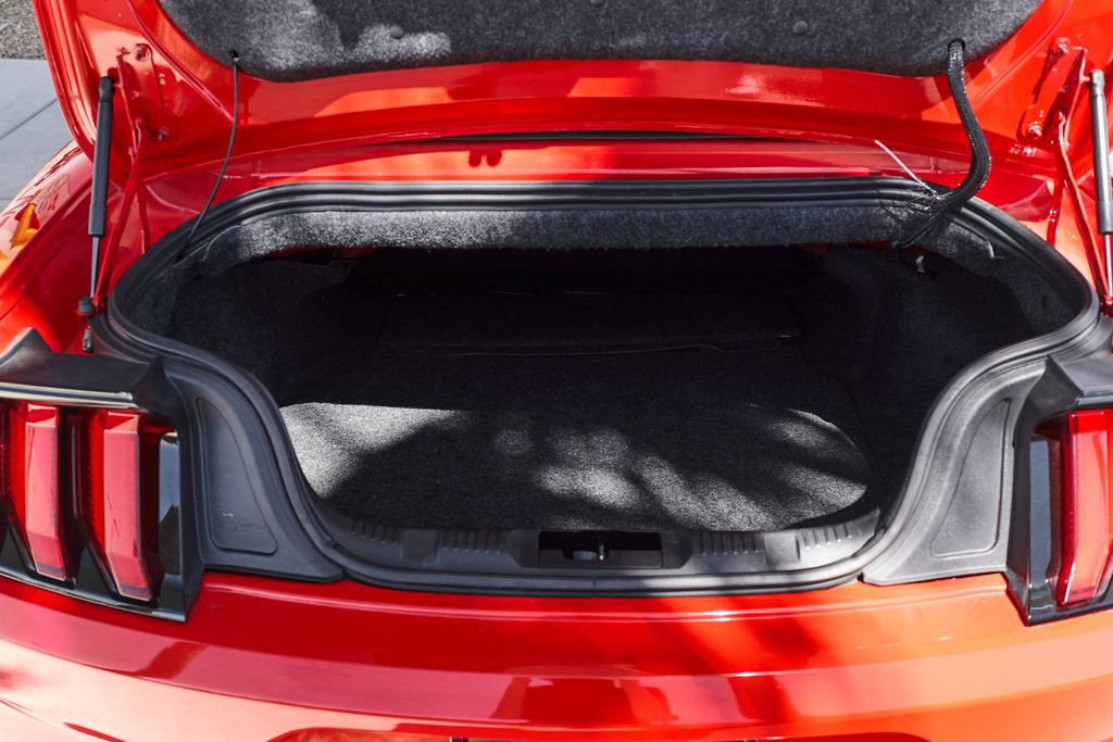 Used 2019 Ford Mustang Premium w/ Equipment Group 201A RWD image 9