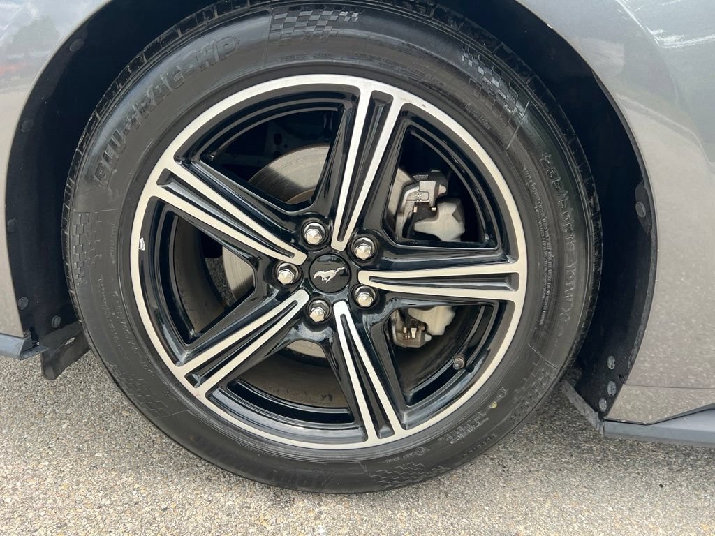 Used 2024 Ford Mustang Premium RWD image 9