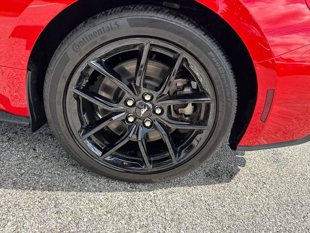 Used 2024 Ford Mustang GT Premium image 10