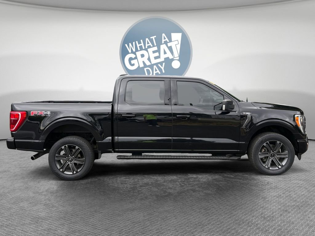 Used 2023 Ford F150 XLT w/ Equipment Group 302A High AWD/4WD image 2