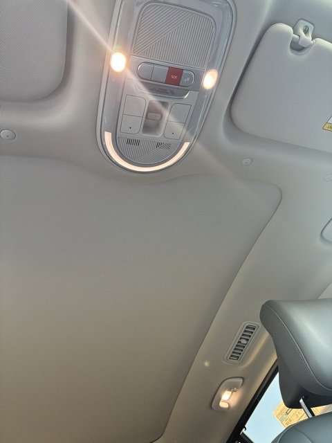 New 2026 Hyundai Ioniq 9 Limited image 22