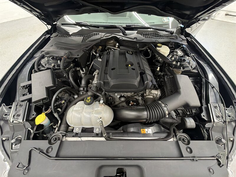Used 2016 Ford Mustang Premium w/ Ecoboost Performance Package RWD image 9
