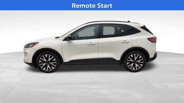 Used 2020 Ford Escape SE Sport image 6